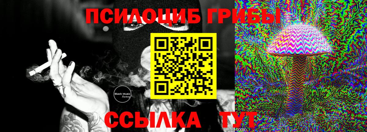 Псилоцибиновые грибы MAGIC MUSHROOMS Арзамас