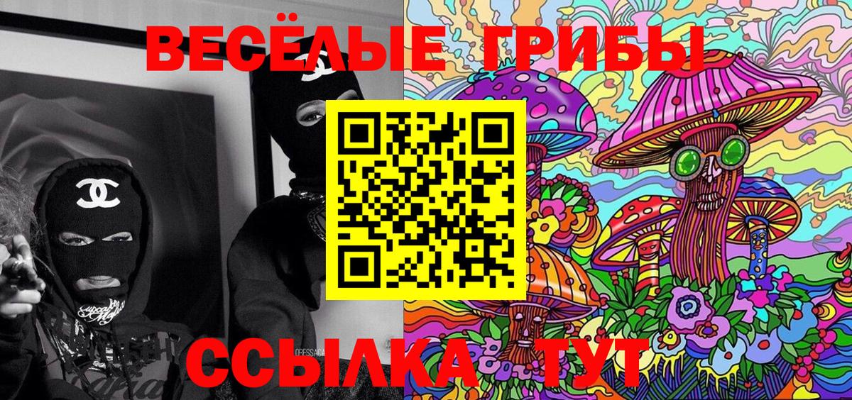 Арзамас  Псилоцибиновые грибы прущие грибы  Вход с VPN 